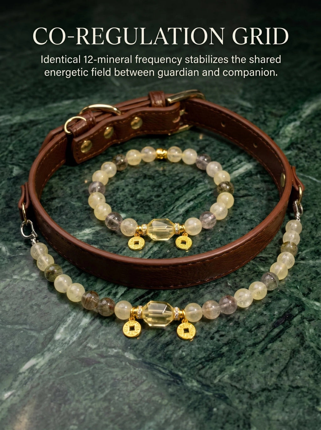 The Golden Vault Matching Set | Human Crystal Bracelet  + Pet Crystal Collar | Lemon Citrine & Four Seasons Phantom Quartz  | Abundance Bundle