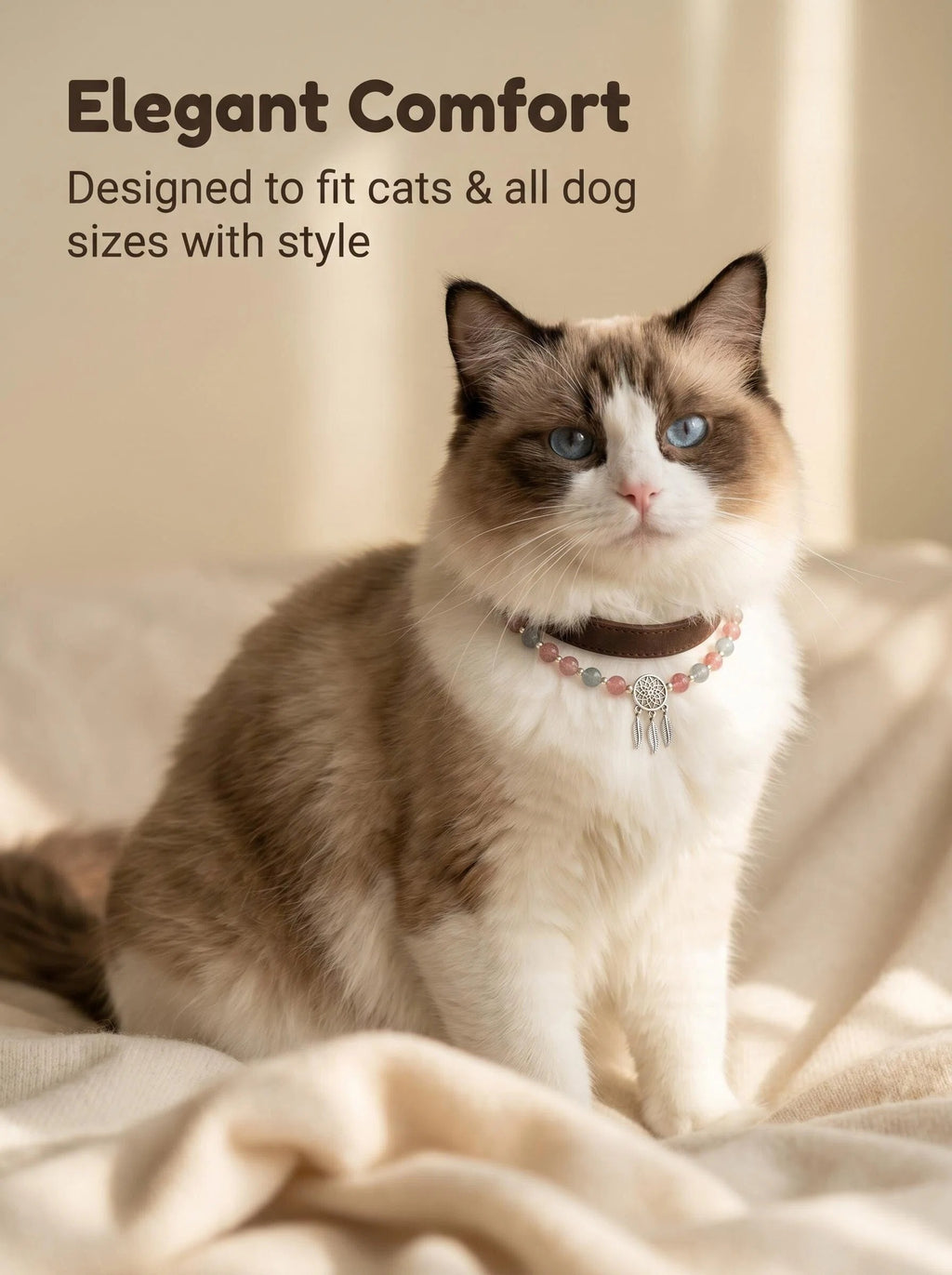 Ragdoll cat wearing Dream Catcher leather collar
with red green strawberry quartz and silver charm,
luxury bohemian crystal cat collar lifestyle photography