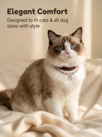 Ragdoll cat wearing Dream Catcher leather collar
with red green strawberry quartz and silver charm,
luxury bohemian crystal cat collar lifestyle photography
