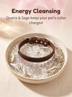 Dream Catcher pet collar on selenite charging plate
with white sage bundle,
crystal pet collar cleansing ritual protective tones