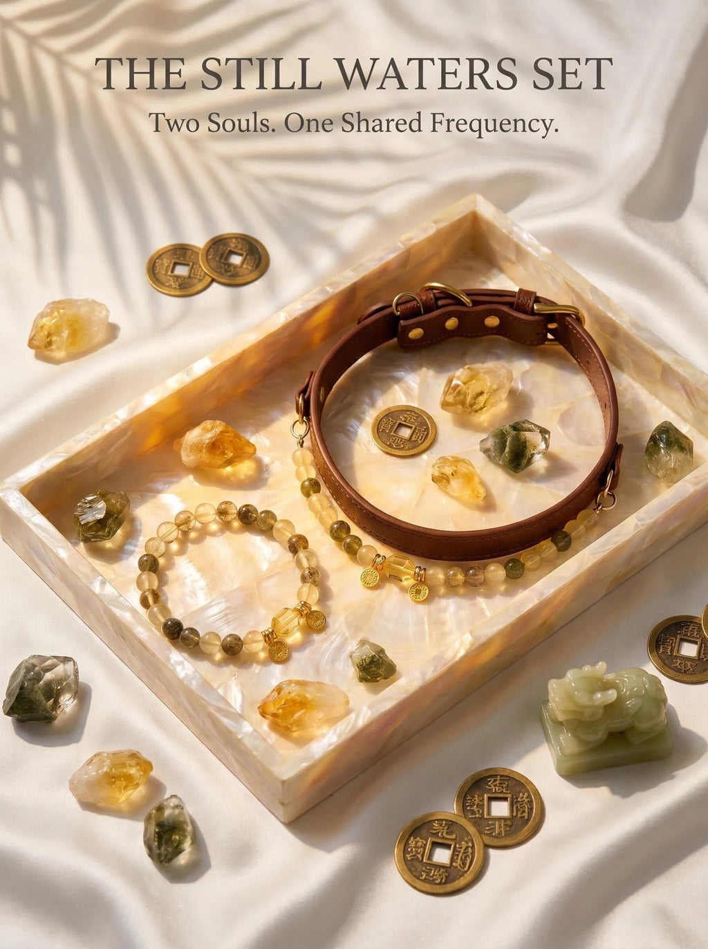 The Golden Vault Matching Set | Human Crystal Bracelet  + Pet Crystal Collar | Lemon Citrine & Four Seasons Phantom Quartz  | Abundance Bundle