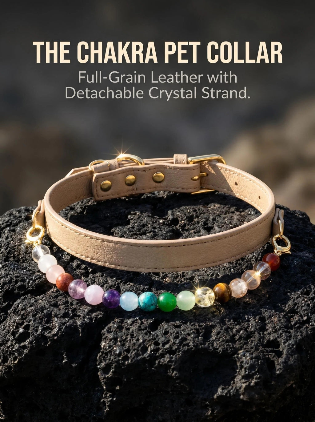 Full Spectrum Pet Crystal Collar | 12-Stone Chakra Dog Collar  | Detachable Crystal Strand