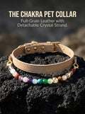 Full Spectrum Pet Crystal Collar | 12-Stone Chakra Dog Collar  | Detachable Crystal Strand