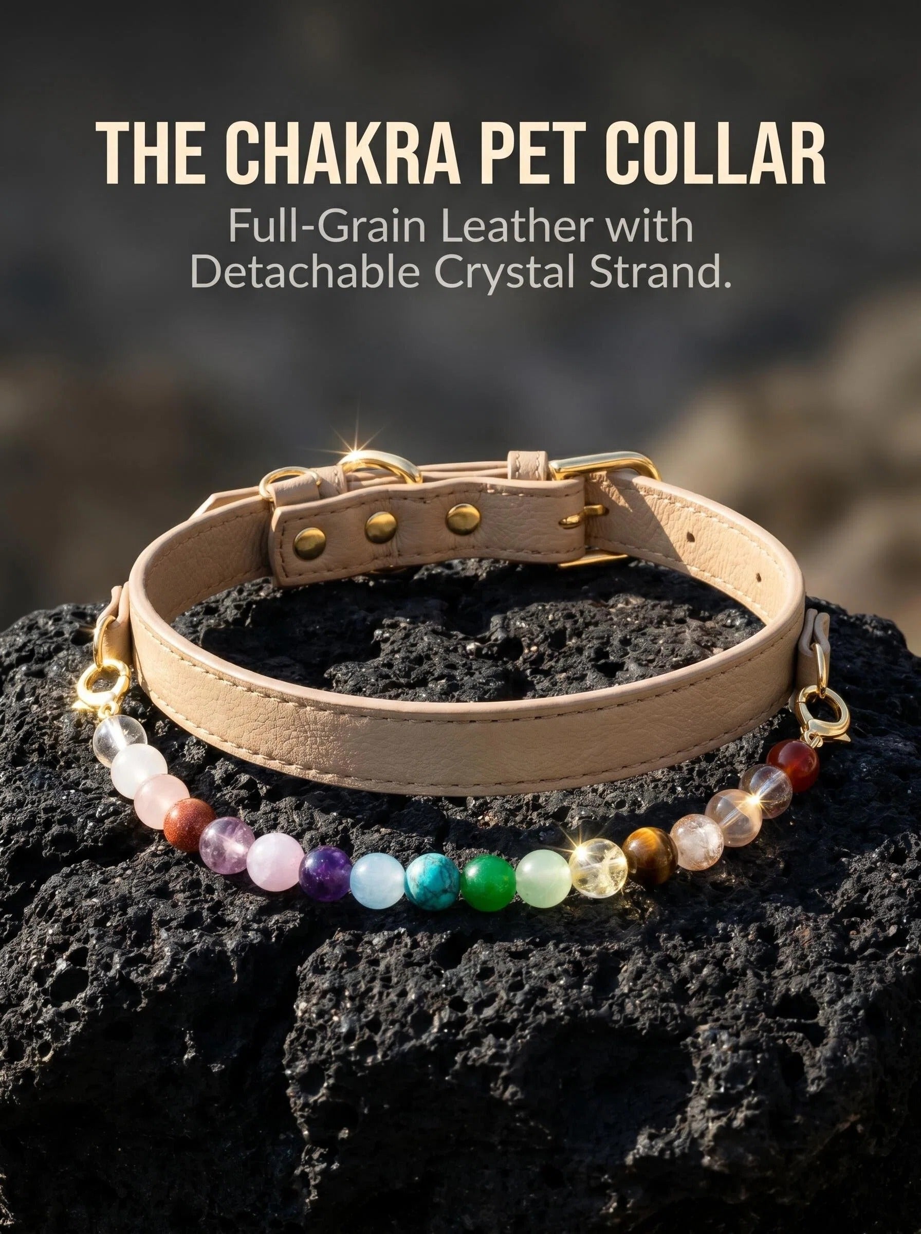 Full Spectrum Pet Crystal Collar | 12-Stone Chakra Dog Collar  | Detachable Crystal Strand