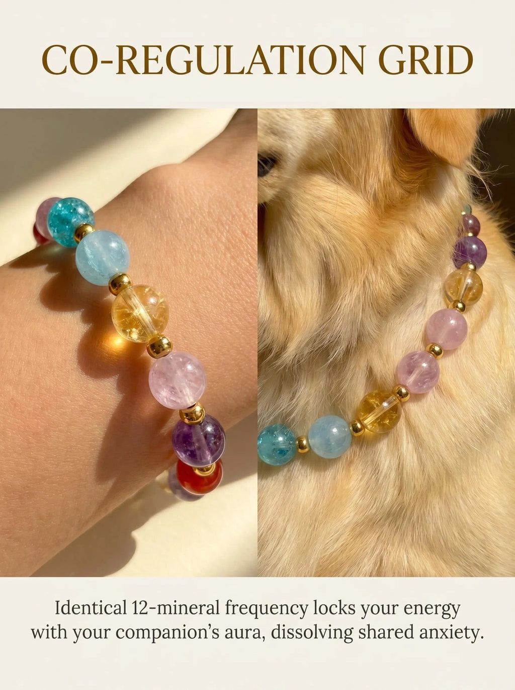 Human & Pet Matching Crystal Set | Seven Chakra Bundle