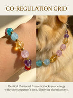 Human & Pet Matching Crystal Set | Seven Chakra Bundle