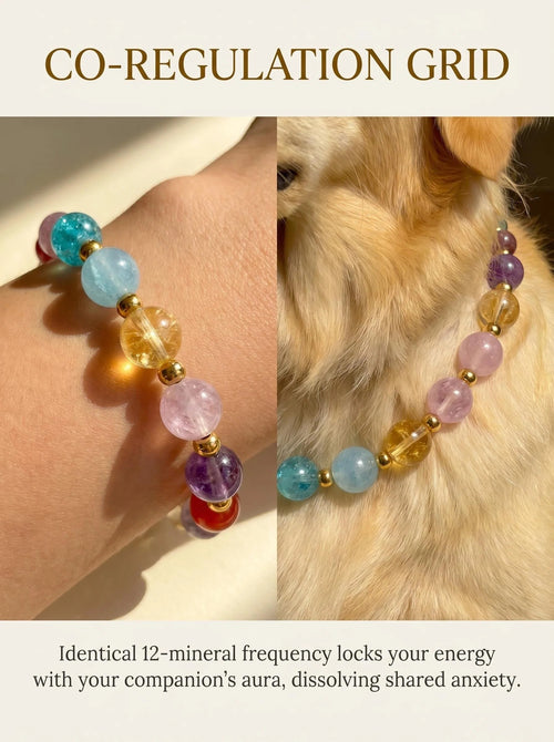 Human & Pet Matching Crystal Set | Seven Chakra Bundle