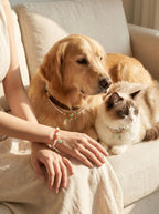 Woman's wrist wearing Pearl & Bloom bracelet
with Shiba Inu or cat wearing matching crystal collar,
human and pet matching grace crystal set lifestyle photography
