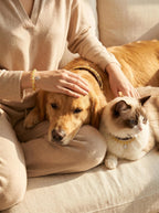 Woman's wrist wearing Solar Guardian citrine bracelet
with pet wearing matching citrine collar,
human and pet matching solar crystal set lifestyle