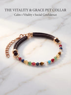 The Vitality Grace pet collar with strawberry quartz 
kyanite aquamarine tiger's eye and red agate beads 
on black leather cord with rose gold hardware, 
luxury crystal collar for cats and small dogs